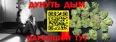 гидра Партизанск