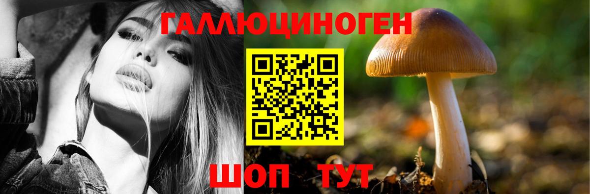 Галлюциногенные грибы Psilocybine cubensis  Галлюциногенные грибы Psilocybe  Вход с VPN  Сатка 